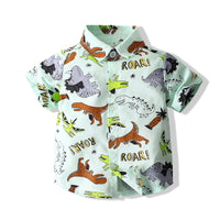 Load image into Gallery viewer, Baby Kid Boys Dinosaur Shirts Wholesale 230308158
