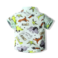 Load image into Gallery viewer, Baby Kid Boys Dinosaur Shirts Wholesale 230308158
