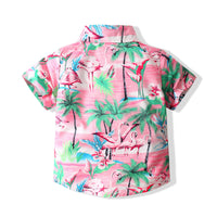 Load image into Gallery viewer, 2 Pieces Set Baby Kid Boys Beach Flamingo Plant Print Shirts And Shorts Wholesale 230308167
