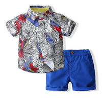 Load image into Gallery viewer, 2 Pieces Set Baby Kid Boys Print Shirts And Solid Color Shorts Wholesale 230308287
