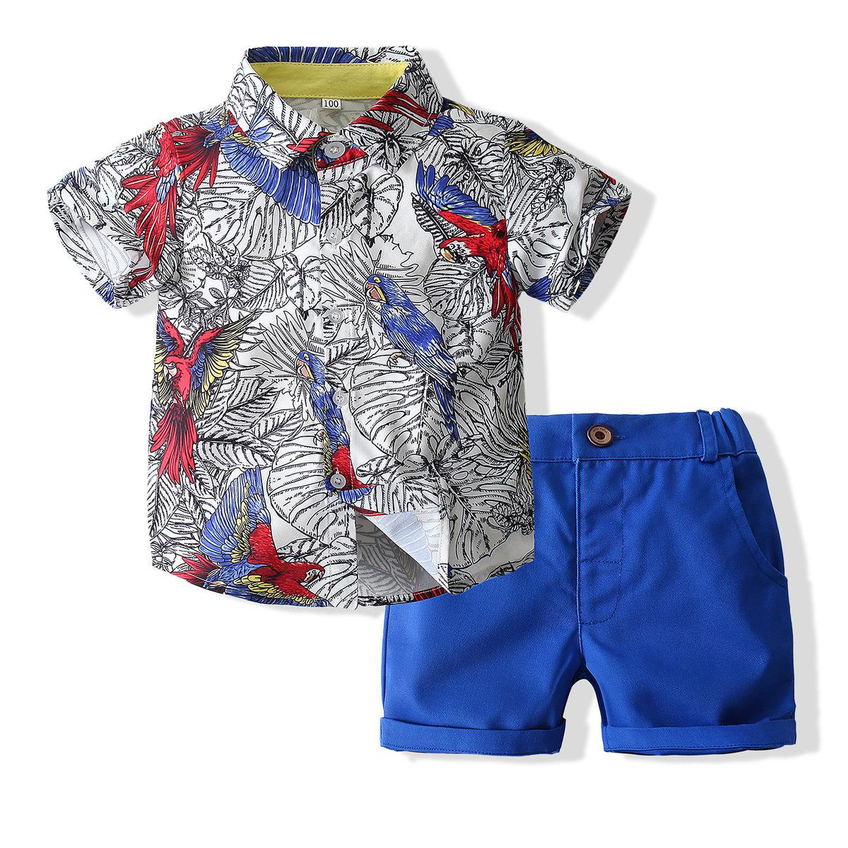 2 Pieces Set Baby Kid Boys Print Shirts And Solid Color Shorts Wholesale 230308287