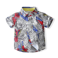 Load image into Gallery viewer, 2 Pieces Set Baby Kid Boys Print Shirts And Solid Color Shorts Wholesale 230308287
