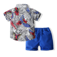 Load image into Gallery viewer, 2 Pieces Set Baby Kid Boys Print Shirts And Solid Color Shorts Wholesale 230308287
