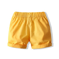 Load image into Gallery viewer, 2 Pieces Set Baby Kid Boys Plant Print Polo Shirts And Solid Color Shorts Wholesale 230308321
