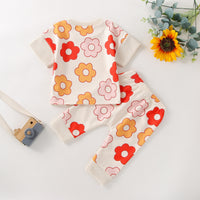 Load image into Gallery viewer, 2 Pieces Set Baby Girls Flower Print Tops And Pants Wholesale 230308355
