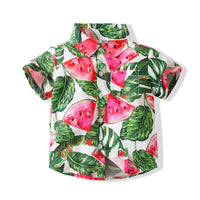 Load image into Gallery viewer, Baby Kid Boys Fruit Print Shirts Wholesale 230308371
