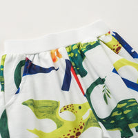 Load image into Gallery viewer, 2 Pieces Set Baby Kid Boys Dinosaur Animals Cartoon Print Hoodies Sweatshirts And Pants Wholesale 230308386
