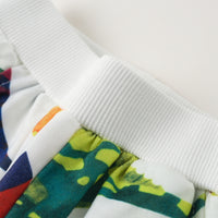 Load image into Gallery viewer, 2 Pieces Set Baby Kid Boys Dinosaur Animals Cartoon Print Hoodies Sweatshirts And Pants Wholesale 230308386
