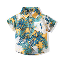 Load image into Gallery viewer, Baby Kid Boys Print Shirts Wholesale 230308586
