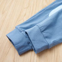 Load image into Gallery viewer, 2 Pieces Set Baby Kid Girls Color-blocking Hoodies Sweatshirts And Pants Wholesale 230308637
