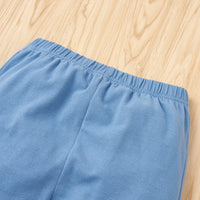 Load image into Gallery viewer, 2 Pieces Set Baby Kid Girls Color-blocking Hoodies Sweatshirts And Pants Wholesale 230308637
