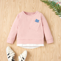 Load image into Gallery viewer, 2 Pieces Set Baby Kid Girls Color-blocking Hoodies Sweatshirts And Pants Wholesale 230308637
