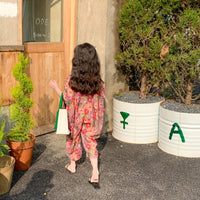 Load image into Gallery viewer, Baby Kid Girls Flower Print Jumpsuits Wholesale 230315132
