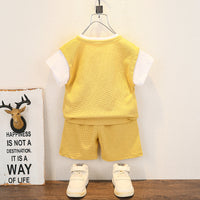 Load image into Gallery viewer, 2 Pieces Set Baby Kid Unisex Color-blocking T-Shirts And Solid Color Shorts Wholesale 230315156
