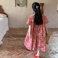 Load image into Gallery viewer, Baby Kid Girls Flower Print Dresses Wholesale 230315746
