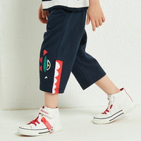 Load image into Gallery viewer, Baby Kid Boys Cartoon Pants Wholesale 23031705
