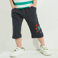 Load image into Gallery viewer, Baby Kid Boys Cartoon Pants Wholesale 23031705
