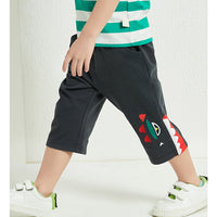 Load image into Gallery viewer, Baby Kid Boys Cartoon Pants Wholesale 23031705
