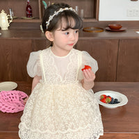 Load image into Gallery viewer, Baby Kid Girls Embroidered Dresses Wholesale 230321283
