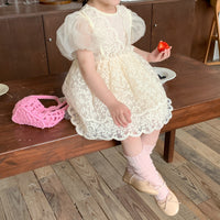 Load image into Gallery viewer, Baby Kid Girls Embroidered Dresses Wholesale 230321283
