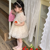 Load image into Gallery viewer, Baby Kid Girls Embroidered Dresses Wholesale 230321283
