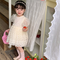Load image into Gallery viewer, Baby Kid Girls Embroidered Dresses Wholesale 230321283
