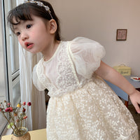 Load image into Gallery viewer, Baby Kid Girls Embroidered Dresses Wholesale 230321283
