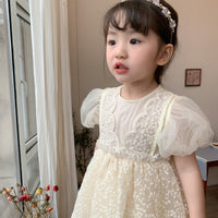 Load image into Gallery viewer, Baby Kid Girls Embroidered Dresses Wholesale 230321283
