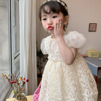 Load image into Gallery viewer, Baby Kid Girls Embroidered Dresses Wholesale 230321283
