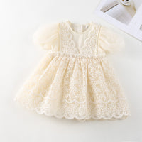 Load image into Gallery viewer, Baby Kid Girls Embroidered Dresses Wholesale 230321283
