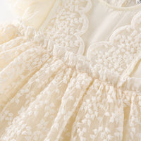 Load image into Gallery viewer, Baby Kid Girls Embroidered Dresses Wholesale 230321283
