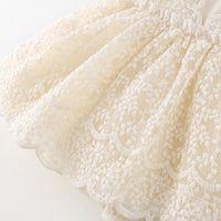 Load image into Gallery viewer, Baby Kid Girls Embroidered Dresses Wholesale 230321283
