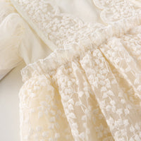 Load image into Gallery viewer, Baby Kid Girls Embroidered Dresses Wholesale 230321283
