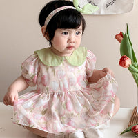 Load image into Gallery viewer, Baby Girls Flower Rompers Wholesale 230323554
