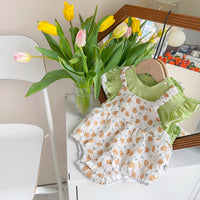 Load image into Gallery viewer, Baby Girls Color-blocking Flower Rompers Wholesale 230323586
