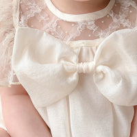 Load image into Gallery viewer, Baby Girls Flower Embroidered Rompers Wholesale 230323597
