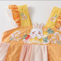 Load image into Gallery viewer, Baby Girls Flower Rabbit Embroidered Rompers Wholesale 230326320
