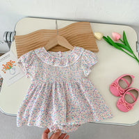 Load image into Gallery viewer, Baby Girls Flower Print Rompers Wholesale 230403523
