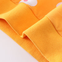 Load image into Gallery viewer, Baby Kid Girls Flower Print Hoodies Sweatshirts Wholesale 230407116
