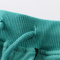 Load image into Gallery viewer, Baby Kid Boys Print Shorts Wholesale 230407228
