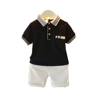 Load image into Gallery viewer, 2 Pcs Toddler Boy Casual Set Polo Shirt &amp; Shorts Wholesale 02145216

