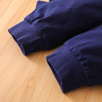 Load image into Gallery viewer, 2 Pieces Baby Boy Hello Dinosaur Set Stripe Bodysuit With Trousers Wholesale 71687165
