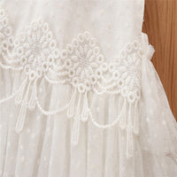 Load image into Gallery viewer, 2 Pieces Baby Girl Party Polka Dots Mesh Dress Match Headband Wholesale 12932634
