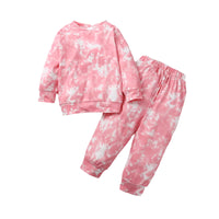 Load image into Gallery viewer, 2 Pieces Baby Girl Pink Tie Dye Set Top And Pants Wholesale 31806885
