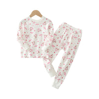 Load image into Gallery viewer, 2 Pieces Set Kid Unisex Fruit Dinosaur Animals Car Cartoon Print Tops And Pants Sleepwears Wholesale 97916280
