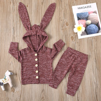 Load image into Gallery viewer, 2 Pieces Little Girl Rabbit Hoodie &amp; Trousers Set Wholesale 29224645
