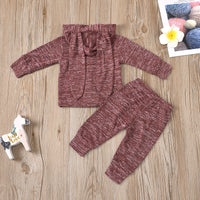 Load image into Gallery viewer, 2 Pieces Little Girl Rabbit Hoodie &amp; Trousers Set Wholesale 29224645
