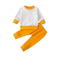 Load image into Gallery viewer, 2 Pieces Toddler Sweatsuits Set Round Neck Sweatshirt And Pants Wholesale 17134625
