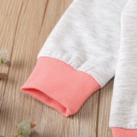 Load image into Gallery viewer, 2 Pieces Toddler Sweatsuits Set Round Neck Sweatshirt And Pants Wholesale 17134625
