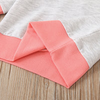 Load image into Gallery viewer, 2 Pieces Toddler Sweatsuits Set Round Neck Sweatshirt And Pants Wholesale 17134625
